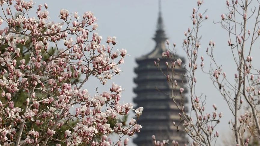繁花似锦，城市副中心展开春日画卷