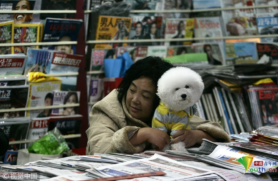 2009年11月23日，上海街头，一个报亭，小狗在主人怀里。连日来，申城气温持续晴冷。