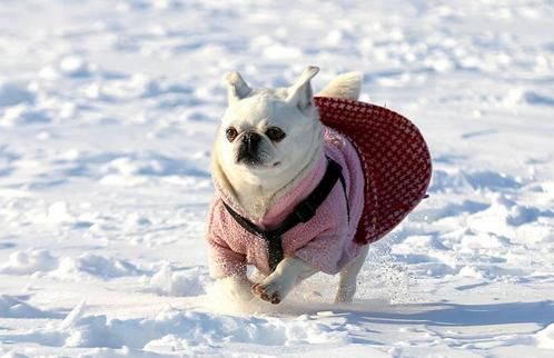 揭密:晚上睡觉总抽筋 原因却不是缺钙引起?