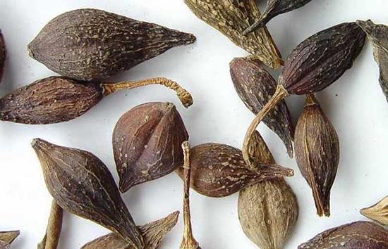 脾虚型幽门螺杆菌感染胃炎有什么症状表现?