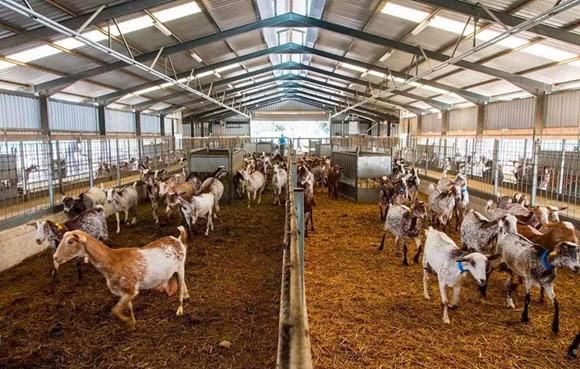 2018年,农村将禁止养殖业,最高补贴达15万,可