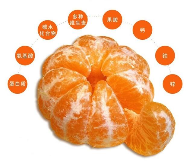 跟着特产走中国湖南 洞口雪峰蜜桔