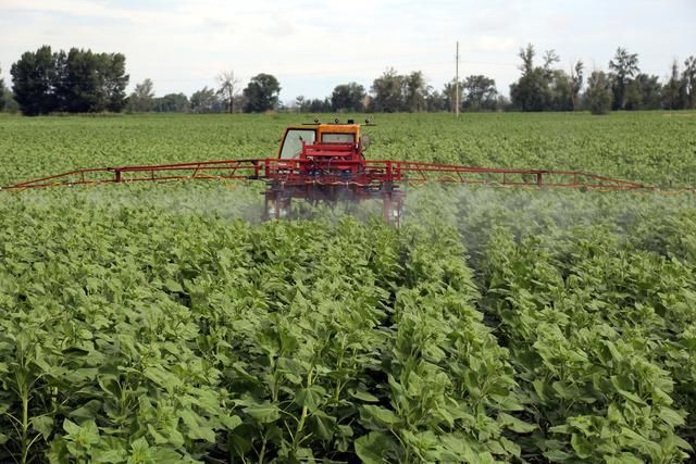 农村自媒体时代,有人靠它致富,也有人靠它实现