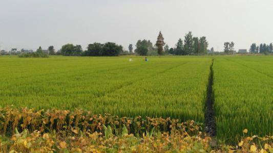 成长:孩子处于叛逆期,家长不知道怎么办?看过