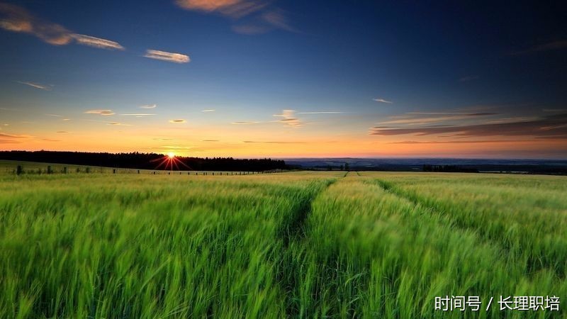 2018葫芦岛国家电网招聘时间安排