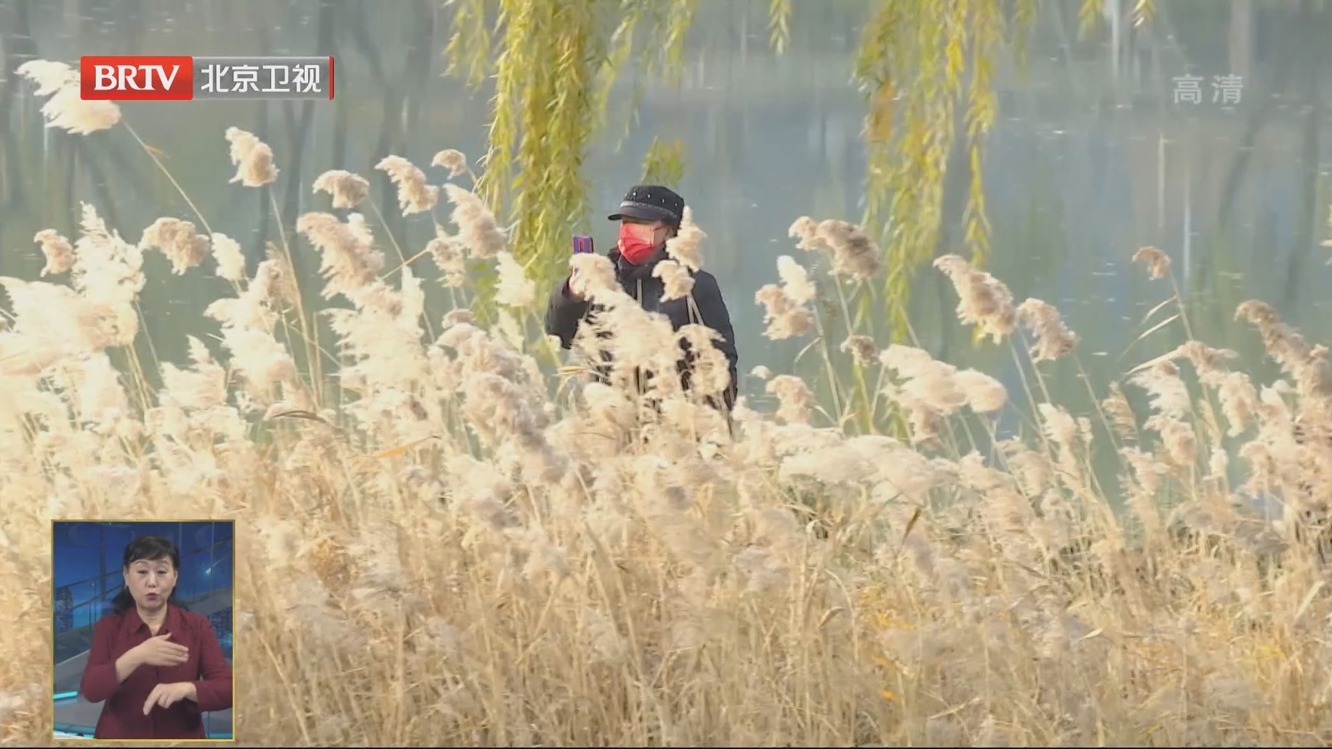 龙潭西湖公园11月16日开园 龙潭湖三园全部开放