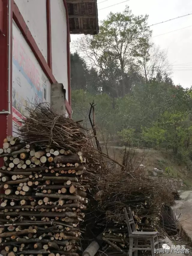 老子不干了在城市活着太累 不如到农村过田园