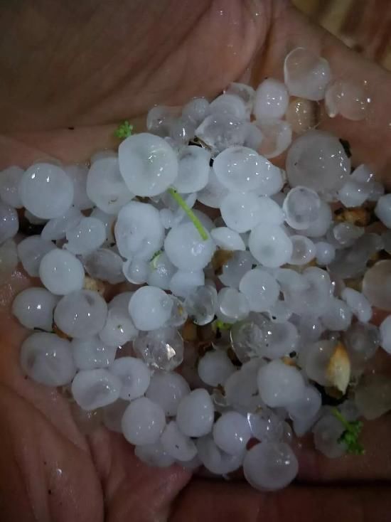 成都解除大风蓝色预警,今日迎来断崖式降温!