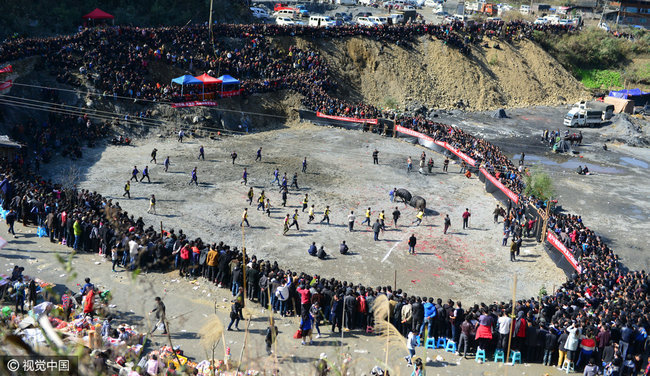 贵州乡村举办斗耕牛大赛 现场惊险刺激
