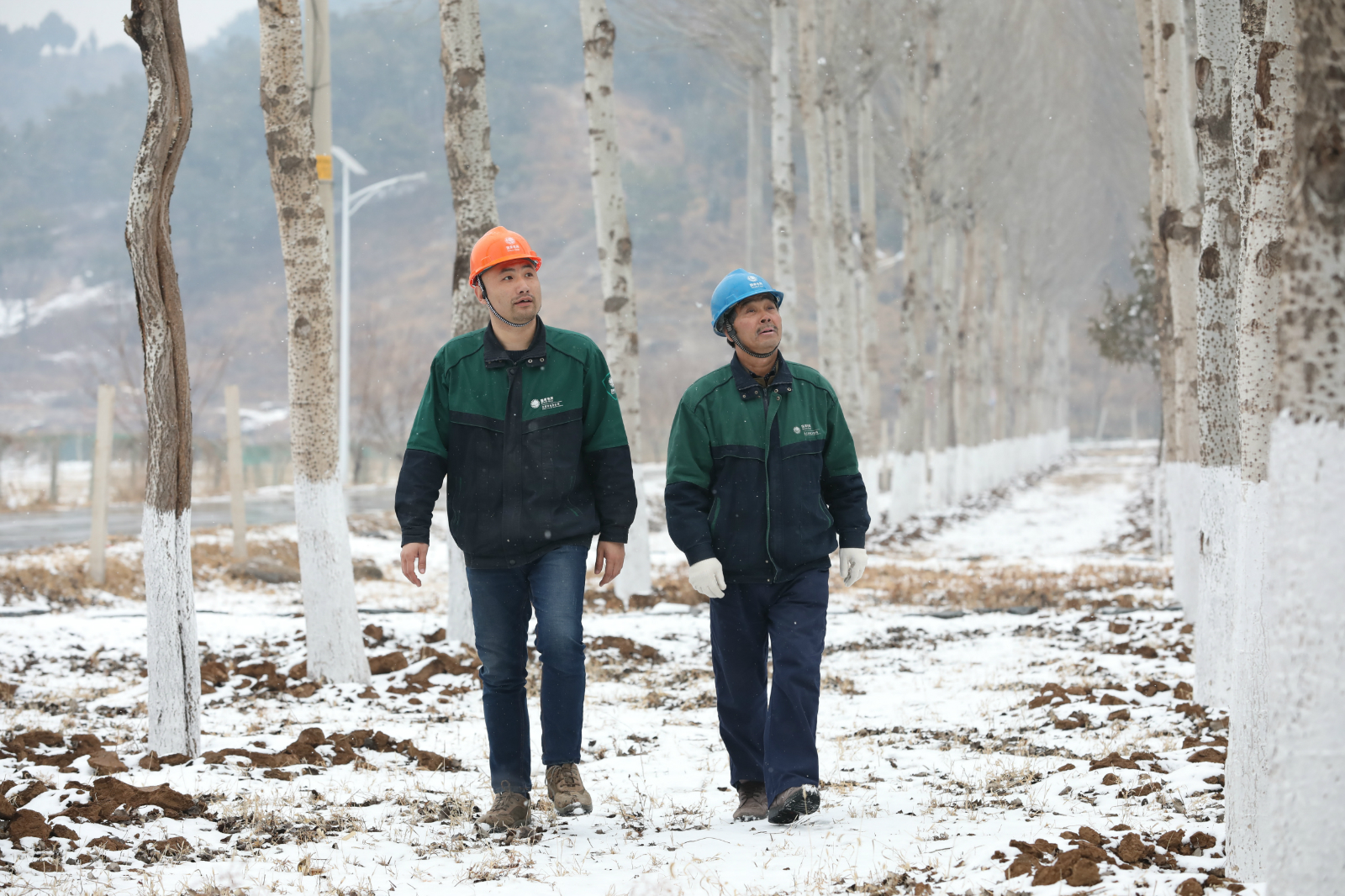 国网北京密云供电公司员工雪后对金叵罗村10千伏线路开展特巡工作。