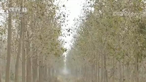 【新时代 新气象 新作为】打响洞庭湖环境“保卫战” 保护碧水蓝天 【新时代 新气象 新作为】打响洞庭湖环境“保卫战” 保护碧水蓝天