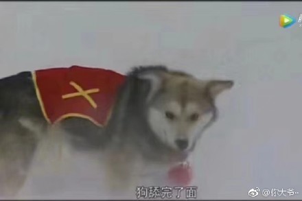 看图猜成语一鸡一狗_看图猜成语(3)