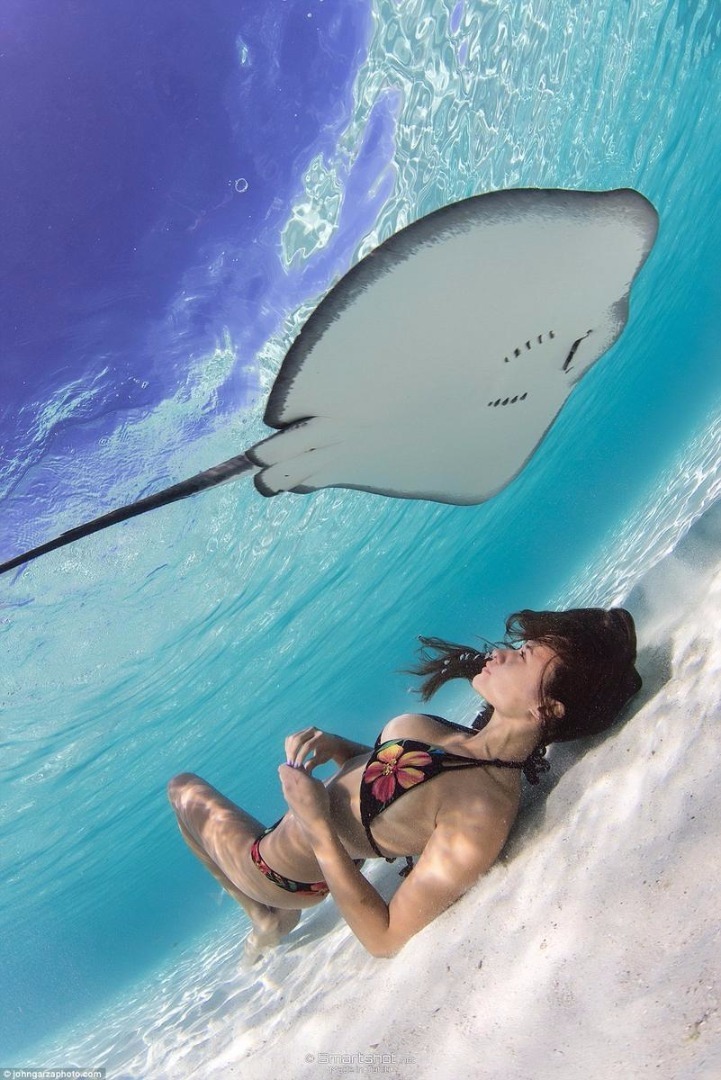 “有时候我游泳的时候，指甲会划到他们的身体，有时候它们向我游过来只是不知道该怎么交流罢了。”