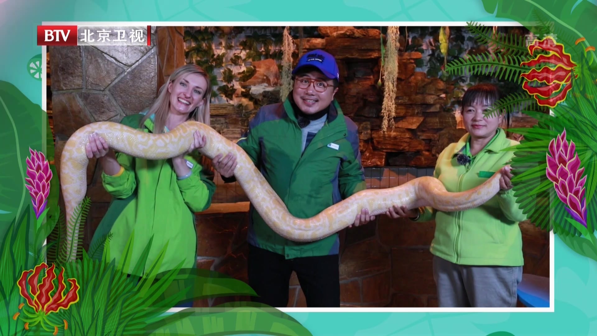 《我的桃花源》20201124北京·大兴