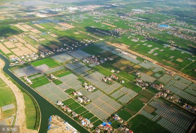 我国未来十年的农业发展趋势,抓住机会,才能更