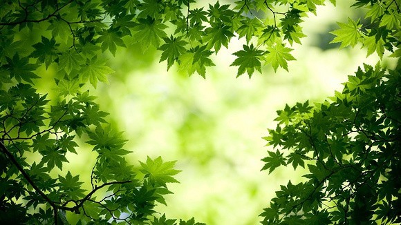 尾盘选强势股技巧揭秘:学会选出翻倍飙涨牛股