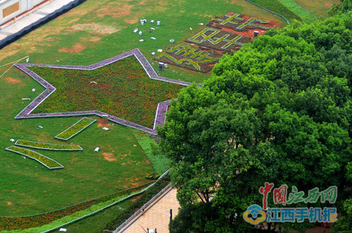 八一广场绿化 红色主题吸睛(图)