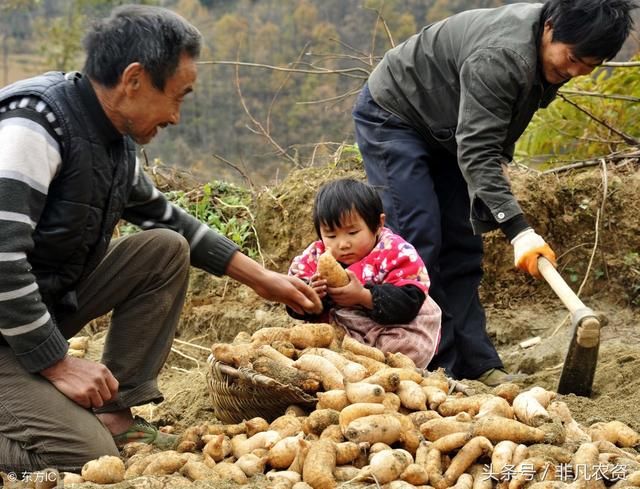 2018-2019哪些药材最赚钱?利润高好种植?附加