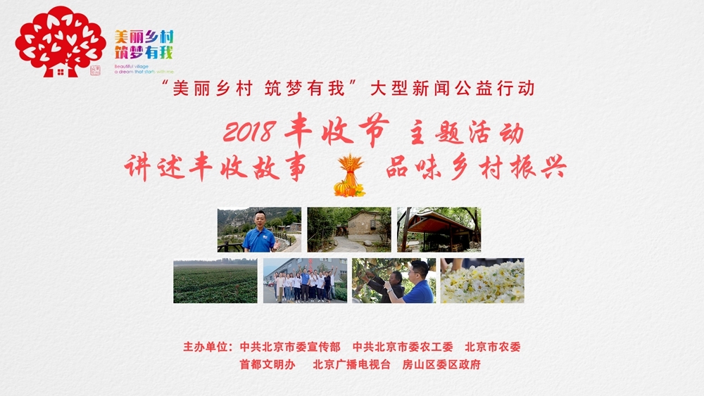 讲述丰收故事 品味乡村振兴 讲述丰收故事 品味乡村振兴