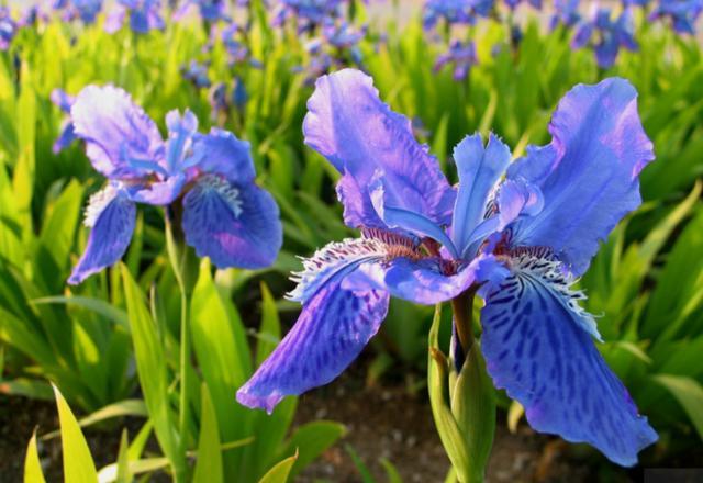 大家都在看:原来电视剧中的好听名字都是这样