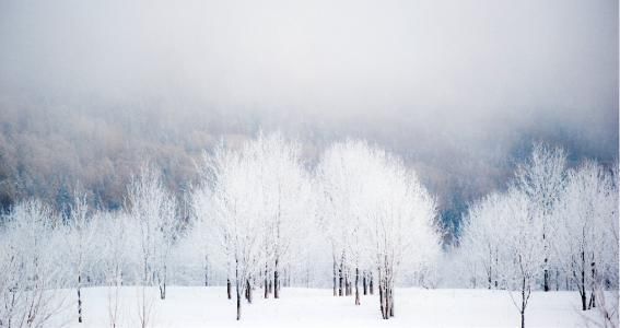 东北不止有三省,带您了解东北地区包括哪些城