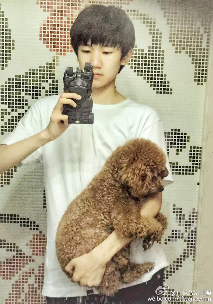 [TFBOYS][分享]170613 王源单手抱猫猫狗狗 青筋暴起戳中苏点