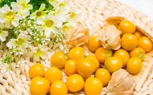 是天然的保健品,女人每天用它泡水喝,美容养