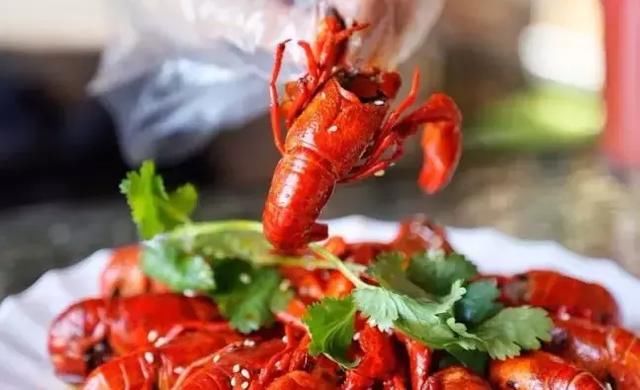 抖音上兰州最火的这些美食,你全都吃了吗?