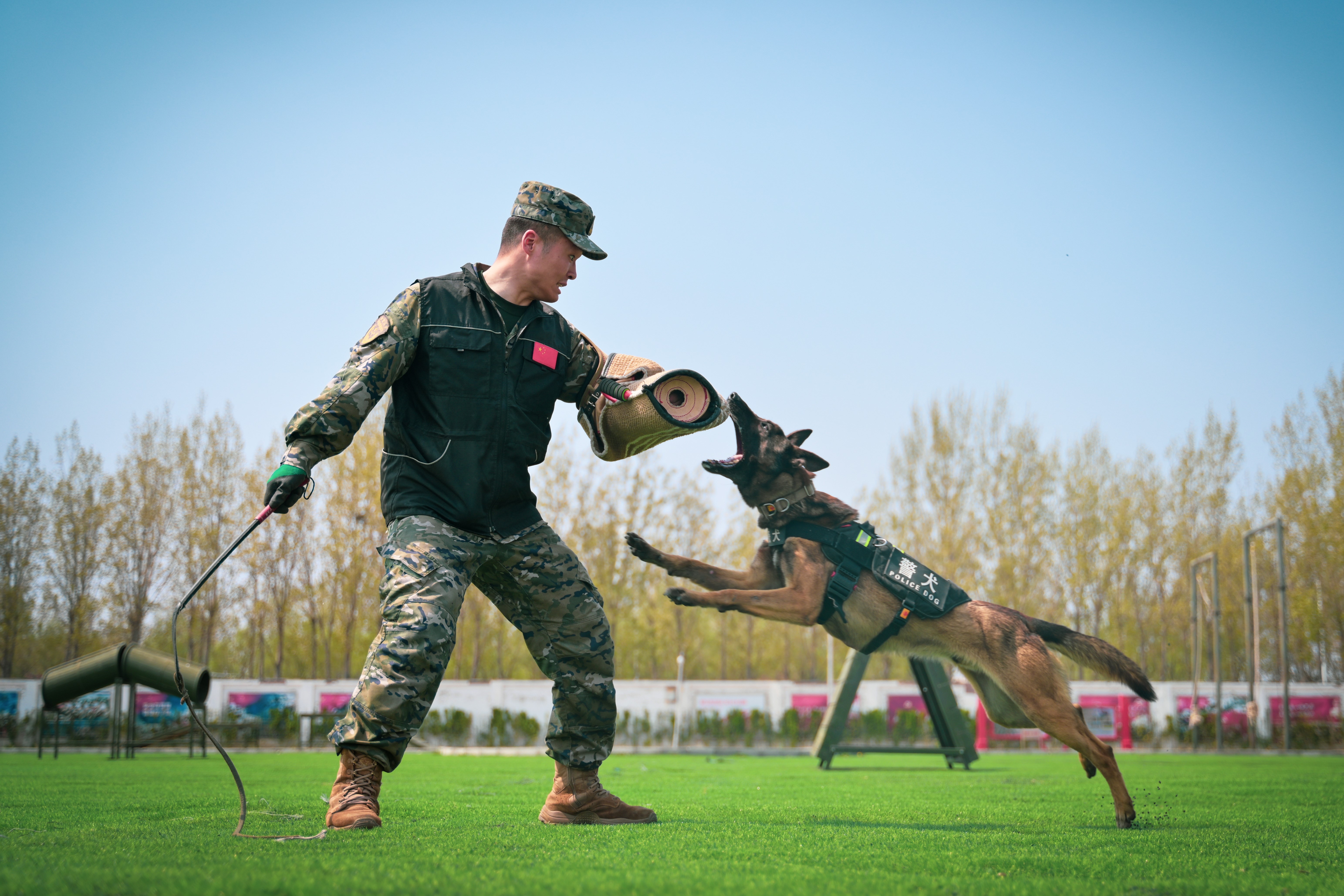 武警广州警犬基地政委图片