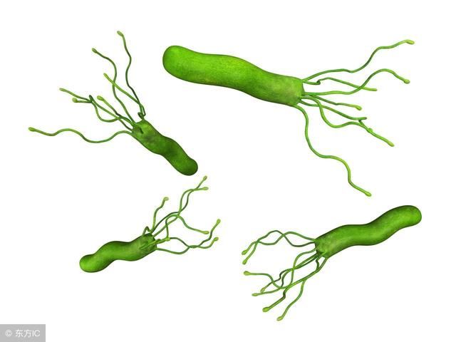 中午开水泡几粒,幽门全消灭,胃痛自然好了