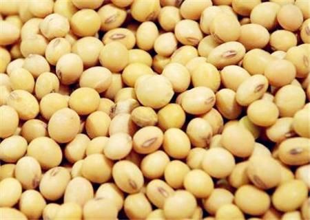 2018年大豆价格预测:大豆多少钱一斤?会暴涨