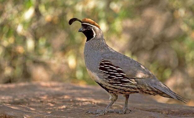 U8国际- U8国际官方网站- U8体育APP下载我国“真金白银”消费未来可期