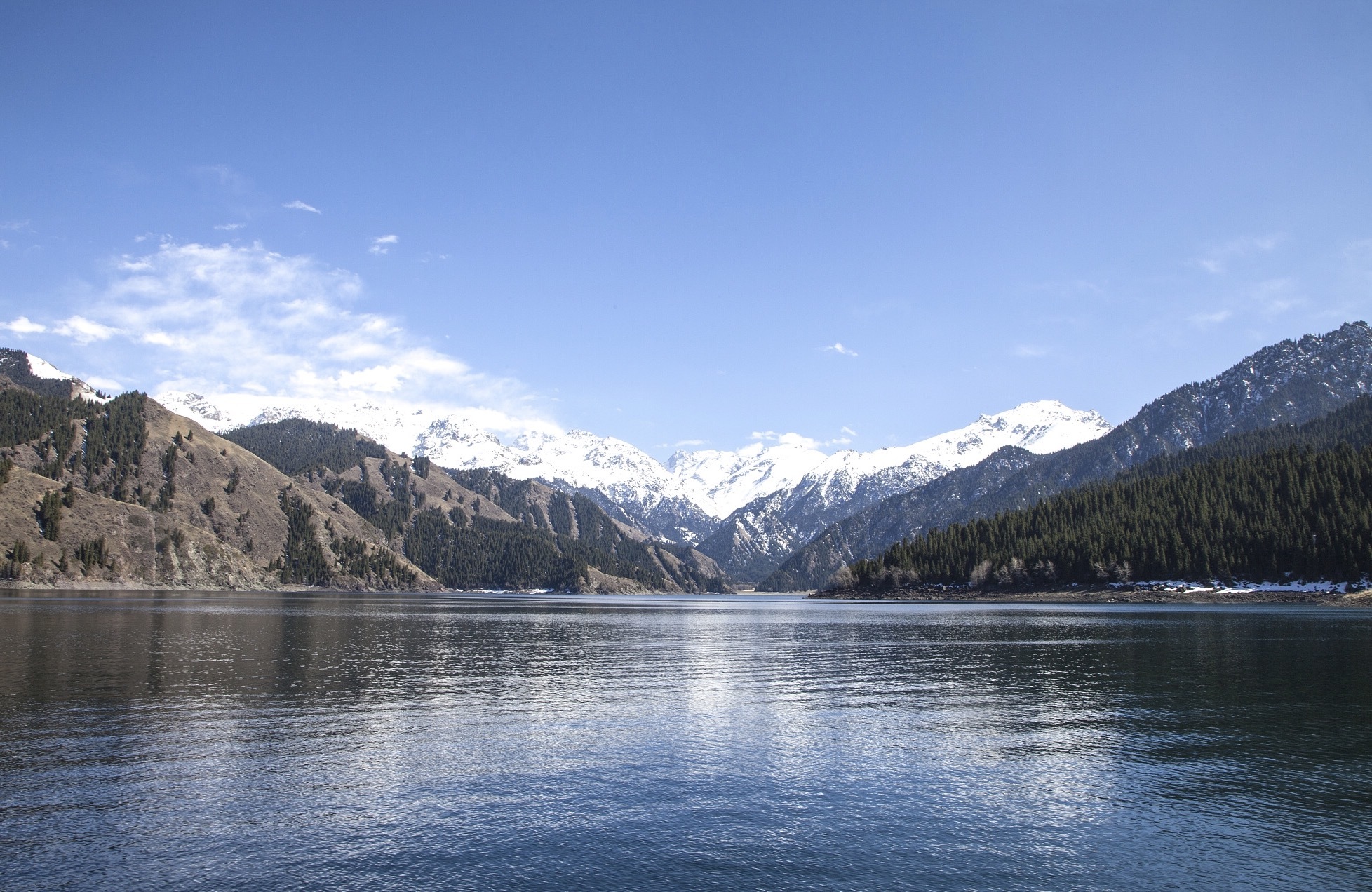独家风景 | 抬头天山5月飘雪 俯首脚下万里草原 独家风景 | 抬头天山5月飘雪 俯首脚下万里草原