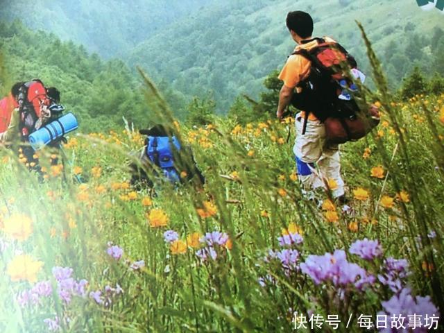 五一假期,春暧花开的河北各地的旅游景点美景