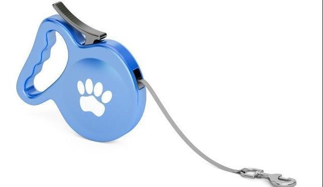 养狗之前需要准备什么东西大全,养狗必备什么