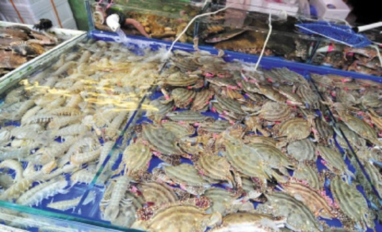 沈阳塔湾海鲜市场图片
