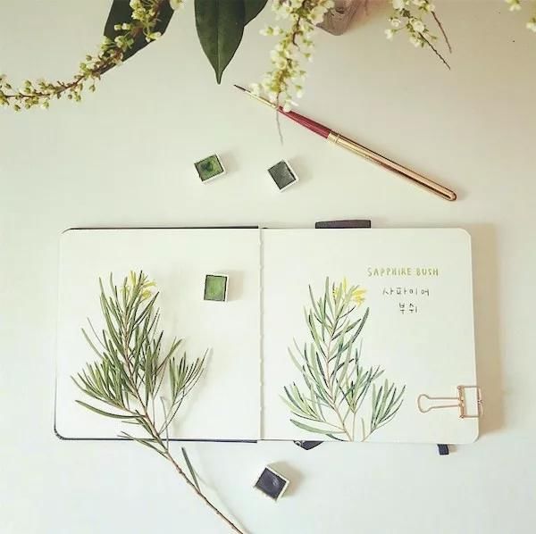 唯美现代诗遇见(致谢生命里的每一场相遇)