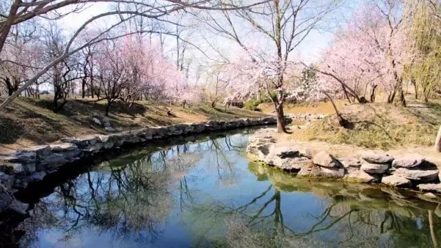 圆明园里的“桃花源”│武陵春色 圆明园里的“桃花源”│武陵春色