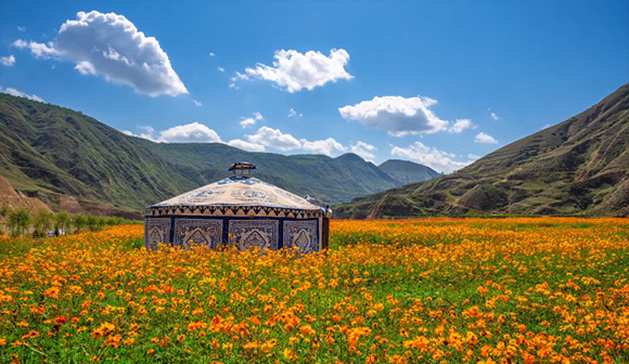 水引来,路修通, 干旱山区里的布楞沟村披绿装