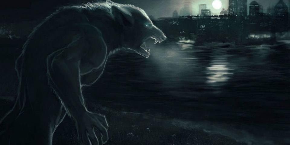 现在,天黑请闭眼,狼人请睁眼狼人:我每回合"黑夜"可杀害一人,对象不限