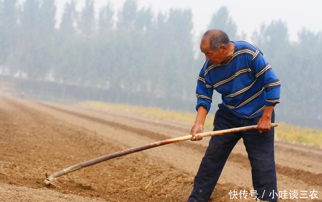 在农村,每月再给父母多少养老钱合适?!