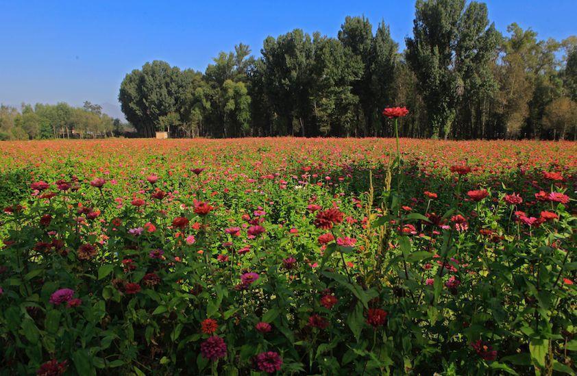 坊村-旧县村-旧县镇政府-东羊坊村-绿富隆观光园-古城村-终点(旧小路)