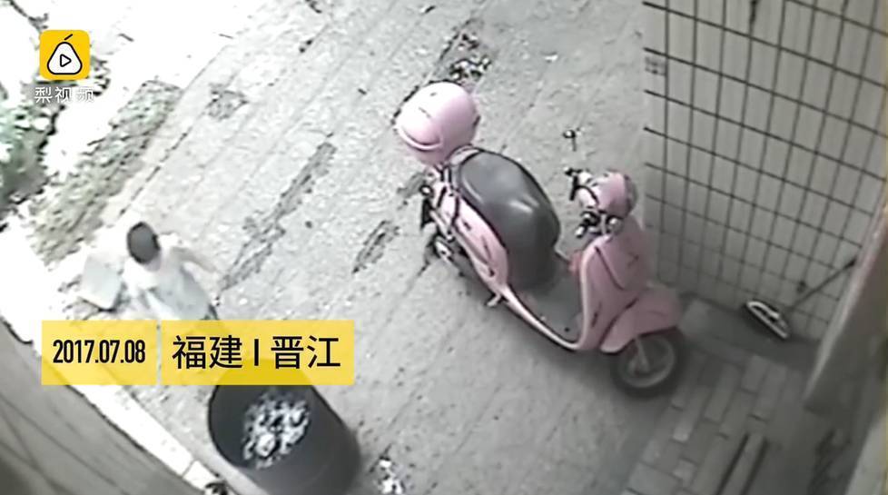 小狗被男童扔进火盆 活活烧死