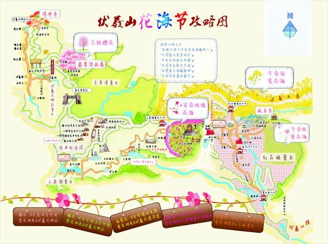 伏羲山几千亩花海踏青去!