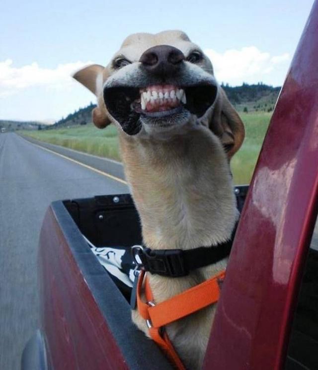 搞笑图片:夏天,空调wifi西瓜,看看人家 人与人