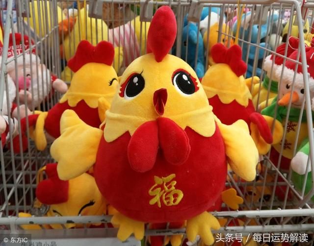 属鸡2019年运势运程 生肖鸡2019年运势大全