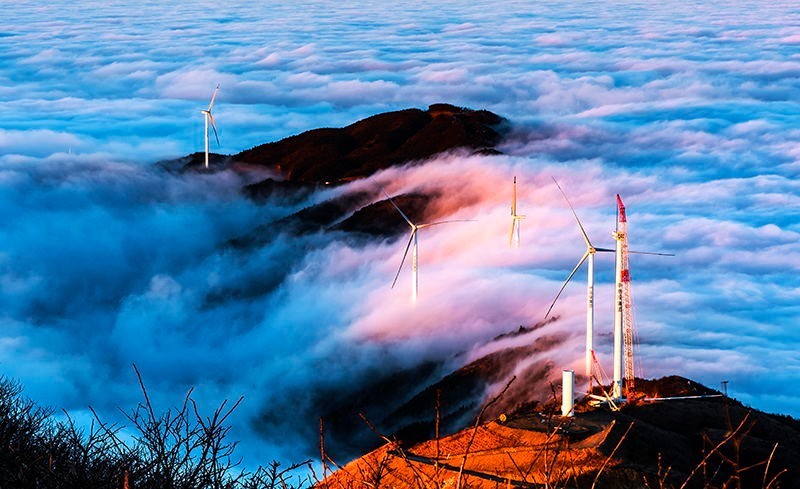 涟源市杨市镇,斗笠山镇的区域代理人毛某,肖某等告诉记者,李某红对