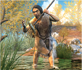 活动四:探秘远古,寓教于乐.