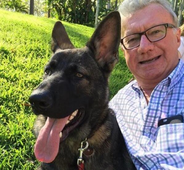 萌警犬个性"太憨直"被炒鱿鱼 幸好它还吃公家饭