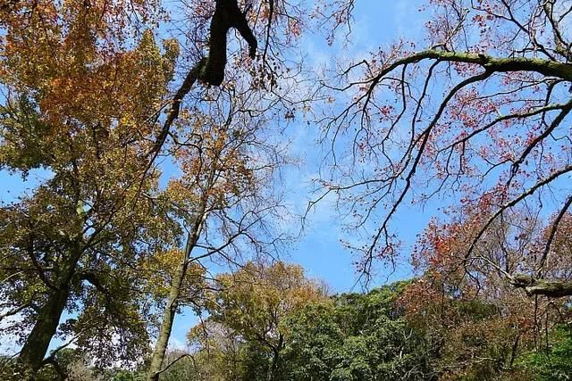 E-mount入门旅游镜首选!索尼E 18-135mm F3